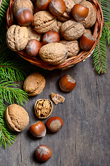 Image showing Walnuts and hazelnuts 