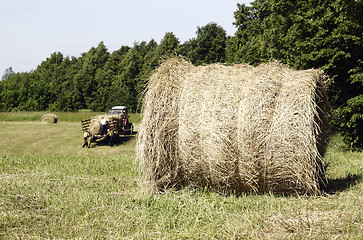 Image showing Hay rolls