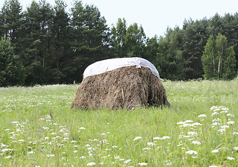 Image showing Haystack