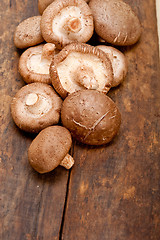 Image showing shiitake mushrooms