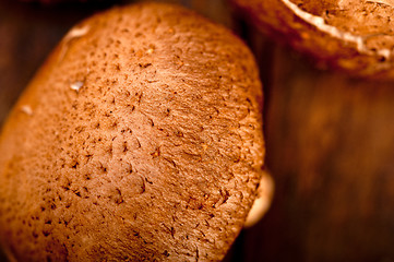 Image showing shiitake mushrooms