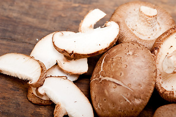 Image showing shiitake mushrooms