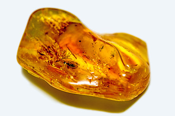 Image showing amber with embedded insects