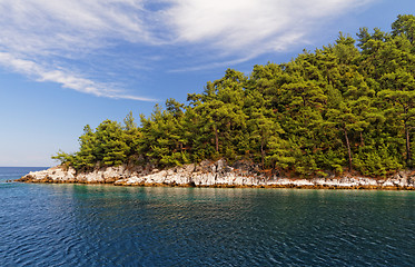 Image showing Green island