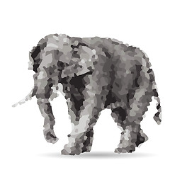 Image showing elephant