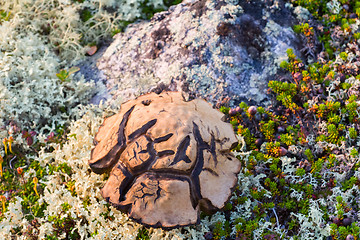 Image showing magic symbol Scandinavian special mushroom