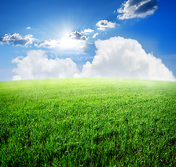 Image showing Field and sky