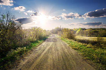 Image showing Road through garden