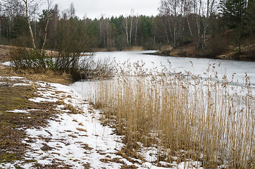 Image showing Spring March landscape at wood lake