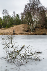 Image showing Spring March landscape at wood lake