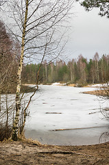 Image showing Spring March landscape at wood lake