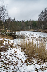 Image showing Spring March landscape at wood lake