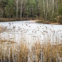 Image showing Spring March landscape at wood lake