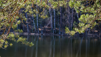 Image showing Spring landscape at wood lake