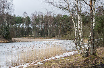 Image showing Spring March landscape at wood lake