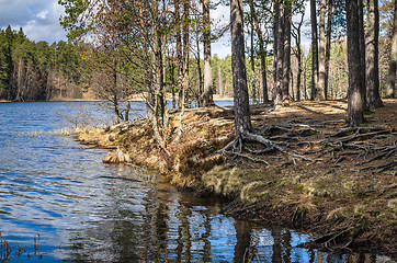 Image showing Spring landscape at wood lake