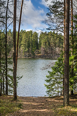 Image showing Spring landscape at wood lake