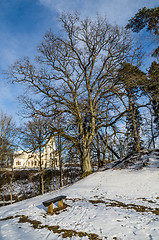 Image showing Spring landscape in the Park  Keila-Joa