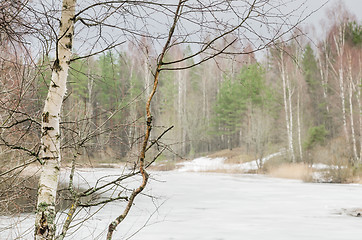 Image showing Spring March landscape at wood lake