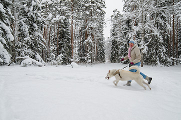 Image showing The woman with a dog on walk in a winter wood