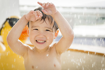 Image showing Mixed Race Boy Having Fun at the Water Park