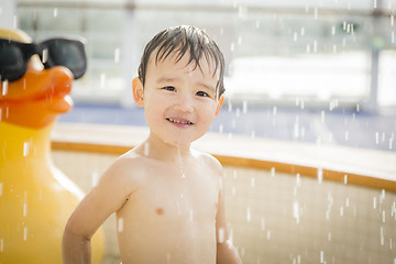 Image showing Mixed Race Boy Having Fun at the Water Park