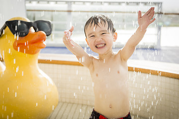 Image showing Mixed Race Boy Having Fun at the Water Park