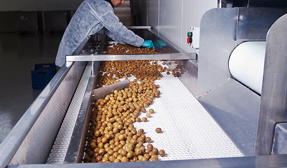 Image showing olives in a processing machine