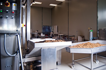Image showing olives in a processing machine