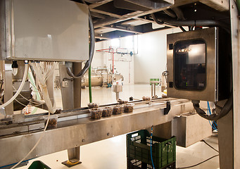 Image showing production of olives. packing machine