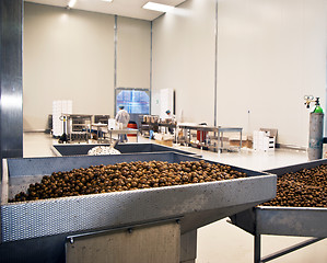 Image showing olives in a processing machine