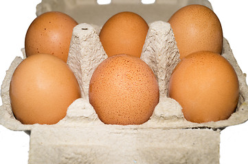 Image showing Egg packaging. Isolated