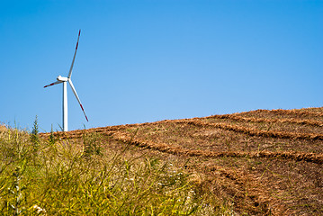 Image showing Wheatfield with windmills