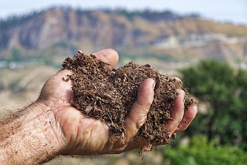 Image showing Hand holding a piece of land