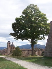 Image showing Urbino, Italy