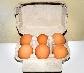 Image showing Egg packaging. Isolated