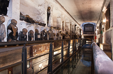 Image showing Catacombs of the Capuchins. Palermo