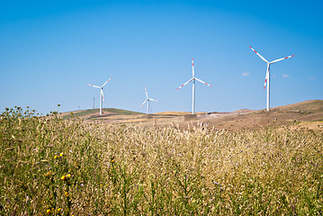 Image showing Wheatfield with windmills