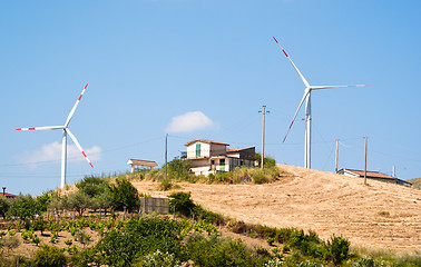 Image showing Wheatfield with windmills