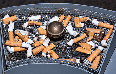 Image showing many dirty cigarettes butts