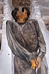 Image showing Catacombs of the Capuchins