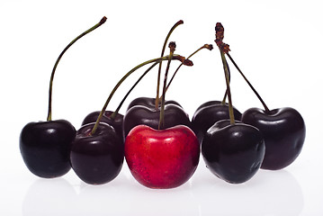 Image showing cherries isolated. be different