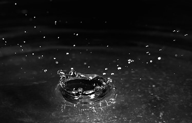 Image showing water splash on black background