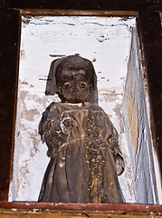 Image showing Catacombs of the Capuchins