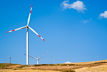 Image showing Wheatfield with windmills