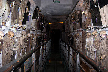 Image showing Catacombs of the Capuchins. Palermo