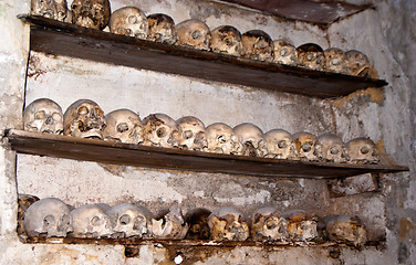 Image showing Catacombs of the Capuchins. Palermo