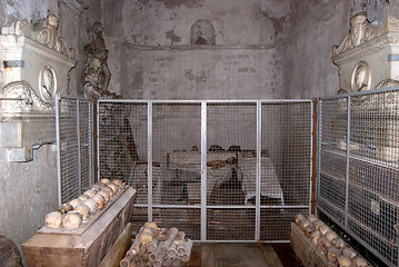 Image showing Catacombs of the Capuchins. Palermo