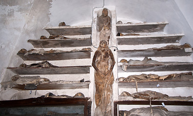 Image showing Catacombs of the Capuchins. Palermo