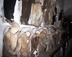 Image showing Catacombs of the Capuchins. Palermo